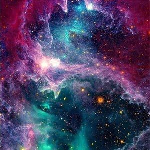 Meet your Posher, Nina